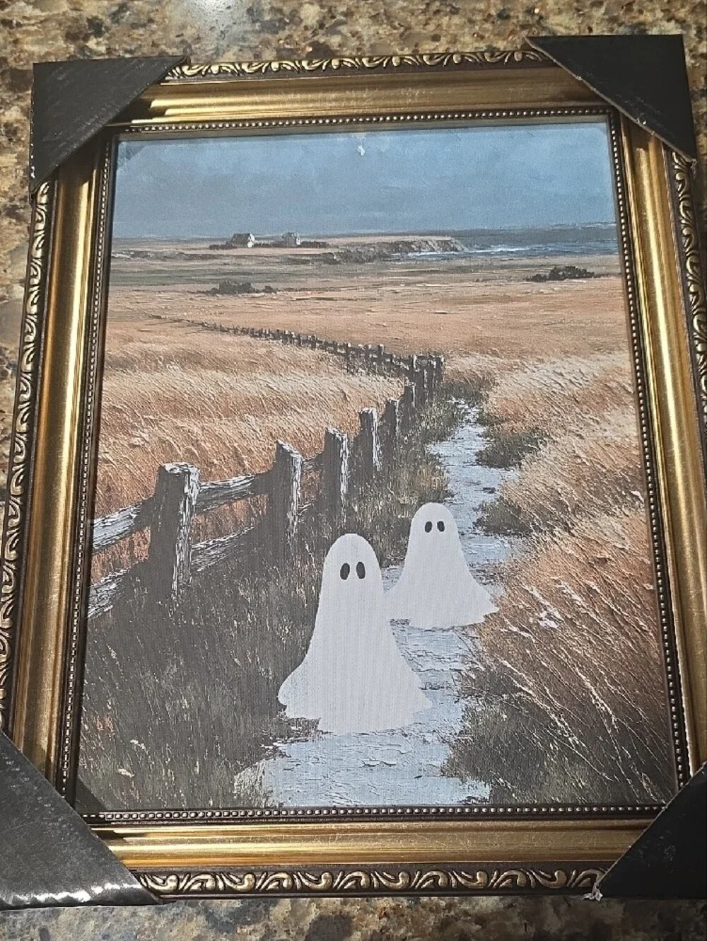New Framed Coastal Field Wall Art with White Ghost Accents